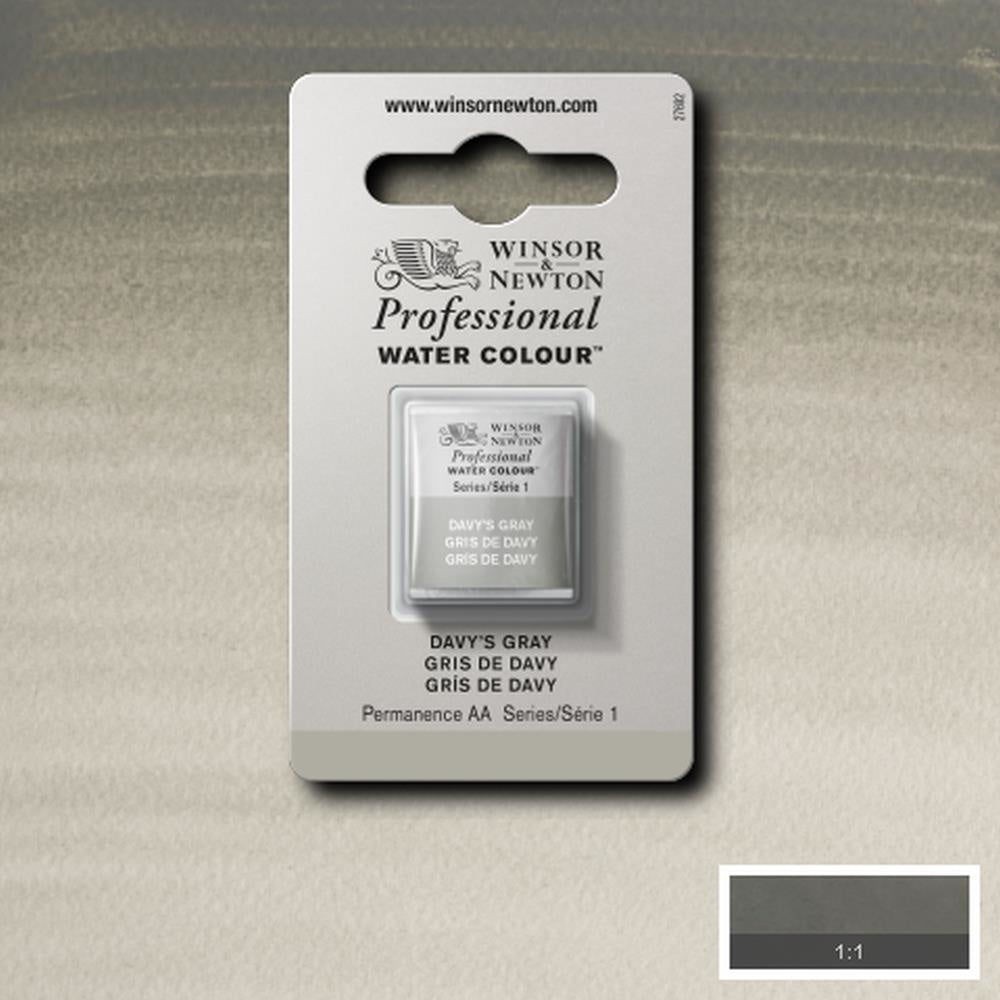 W&N pro. aquarelverf halve nap Davys Grey S1