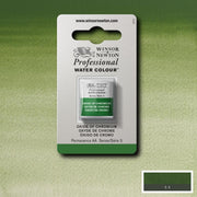 W&N pro. aquarelverf halve nap Oxide of Chromium S3