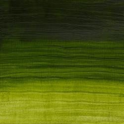 W&N Artisan olieverf 37ml Permanent Sap Green 503