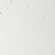 W&N Griffin Alkyd oil paint 37ml Titanium White 644