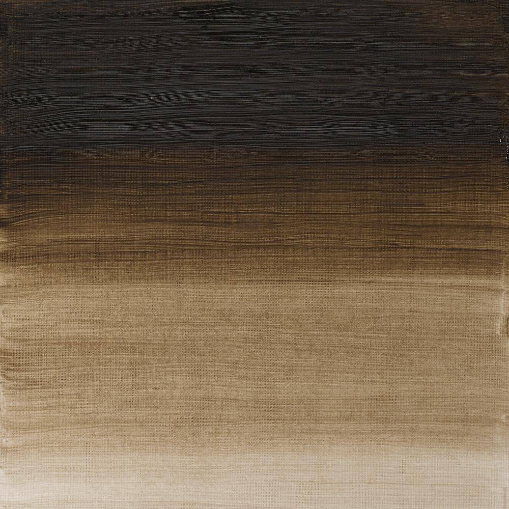 W&N Artists olieverf 37ml Raw Umber (Green schade) 558
