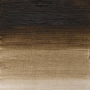W&N Artists olieverf 37ml Raw Umber (Green schade) 558