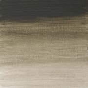 W&N Artists olieverf 37ml Davy's Gray 217