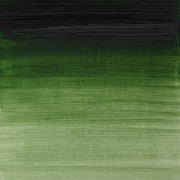 W&N Artists olieverf 37ml Prussian Green 540