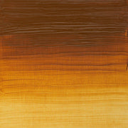 W&N Artists olieverf 37ml Transparent Gold Ochre 646
