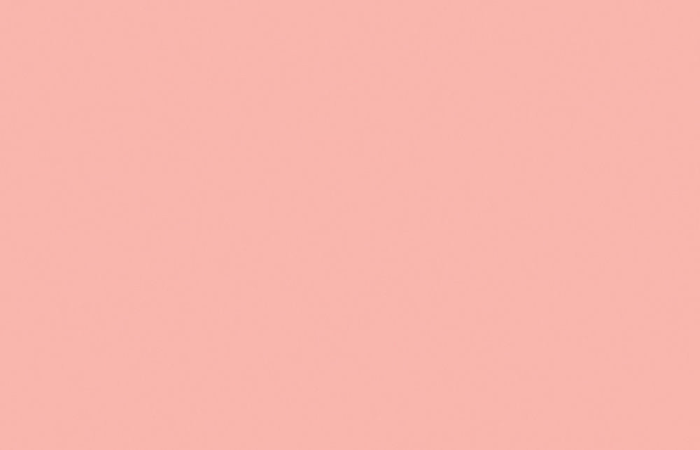 Liquitex acrylverf spuitbus 400ml Cadmium Red Light Hue 6 (6510)