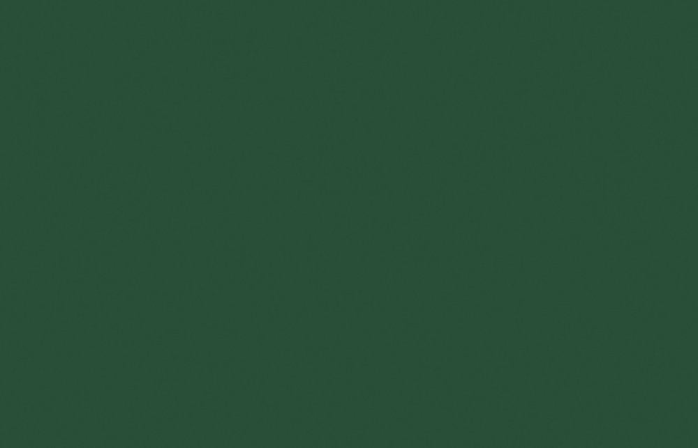 Liquitex acrylic paint spray can 400ml Hooker's Green Hue Permanent (0224)