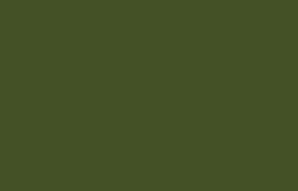 Liquitex acrylverf spuitbus 400ml Sap Green Permanent (0315)