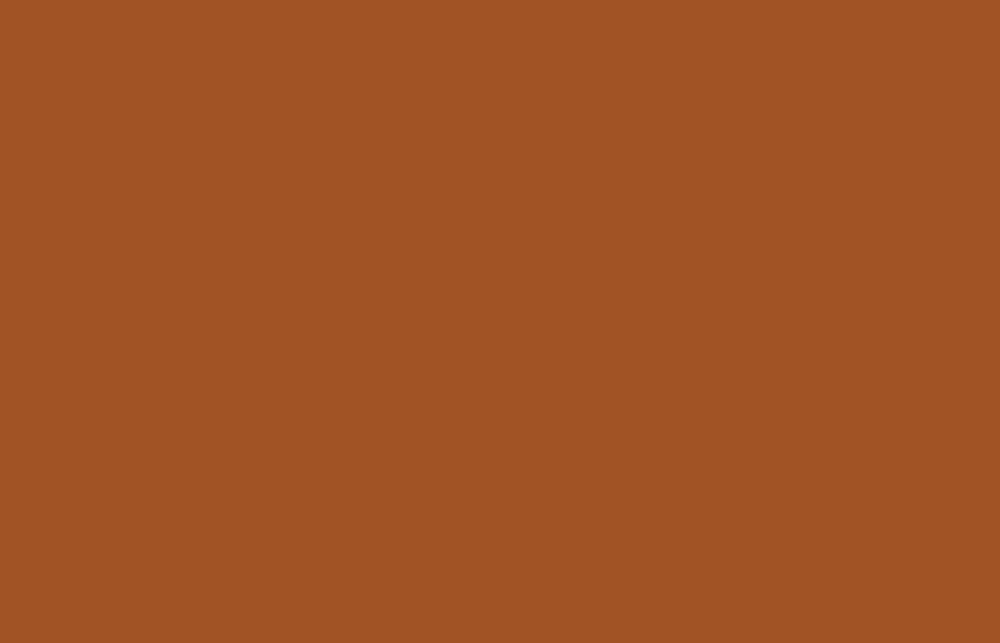 Liquitex acrylverf spuitbus 400ml Raw Sienna (0330)