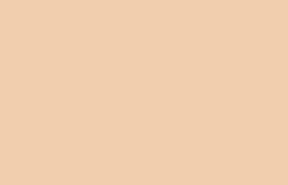 Liquitex acrylverf spuitbus 400ml Raw Sienna 7 (7330)