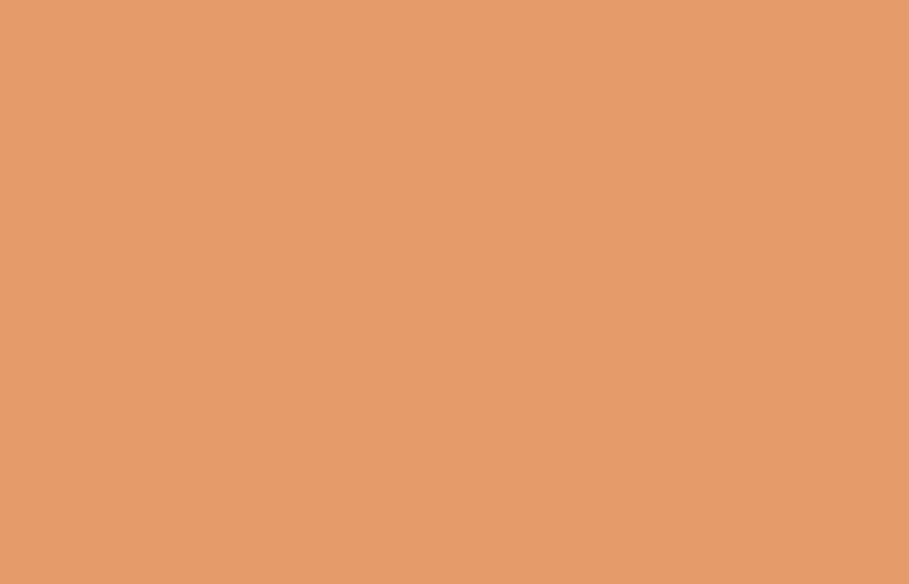 Liquitex acrylverf spuitbus 400ml Raw Sienna 5 (5330)