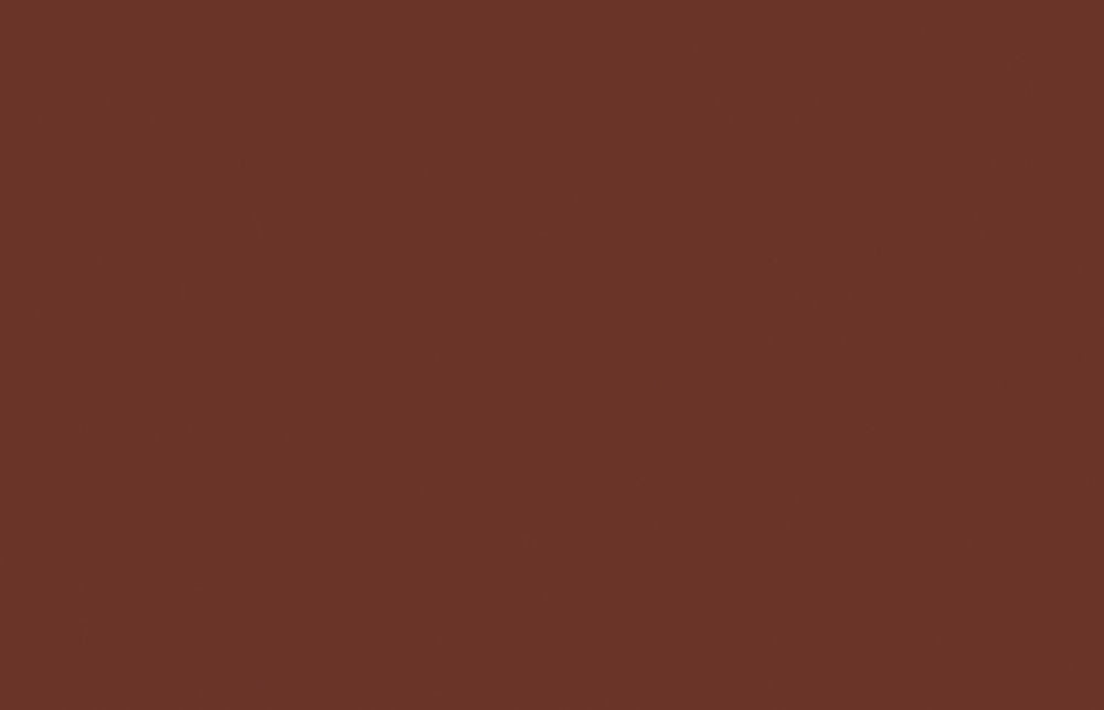 Liquitex acrylverf spuitbus 400ml Burnt Sienna (0127)