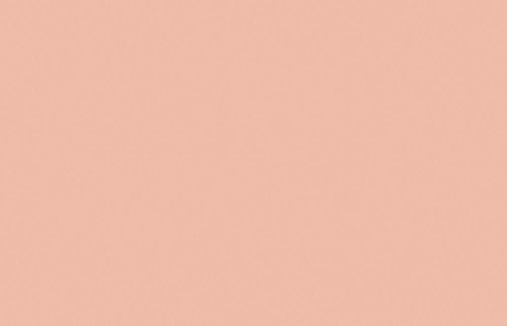 Liquitex acrylverf spuitbus 400ml Burnt Sienna 7 (7127)