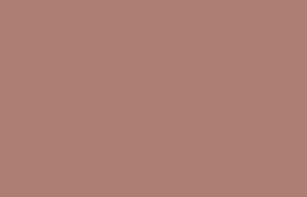 Liquitex acrylverf spuitbus 400ml Burnt Sienna 5 (5127)
