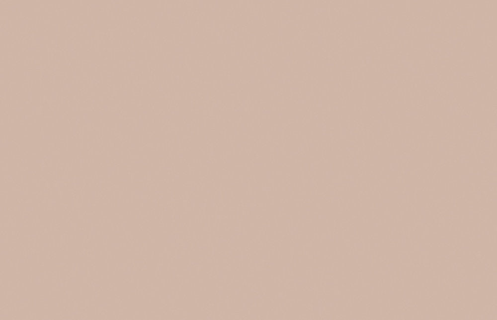 Liquitex acrylverf spuitbus 400ml Burnt Umber 7 (7128)