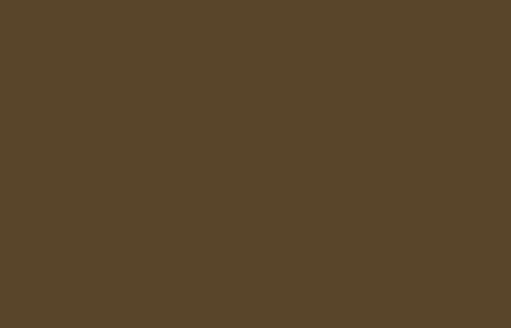 Liquitex acrylverf spuitbus 400ml Raw Umber (0331)