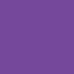 Pigment Marker Purple