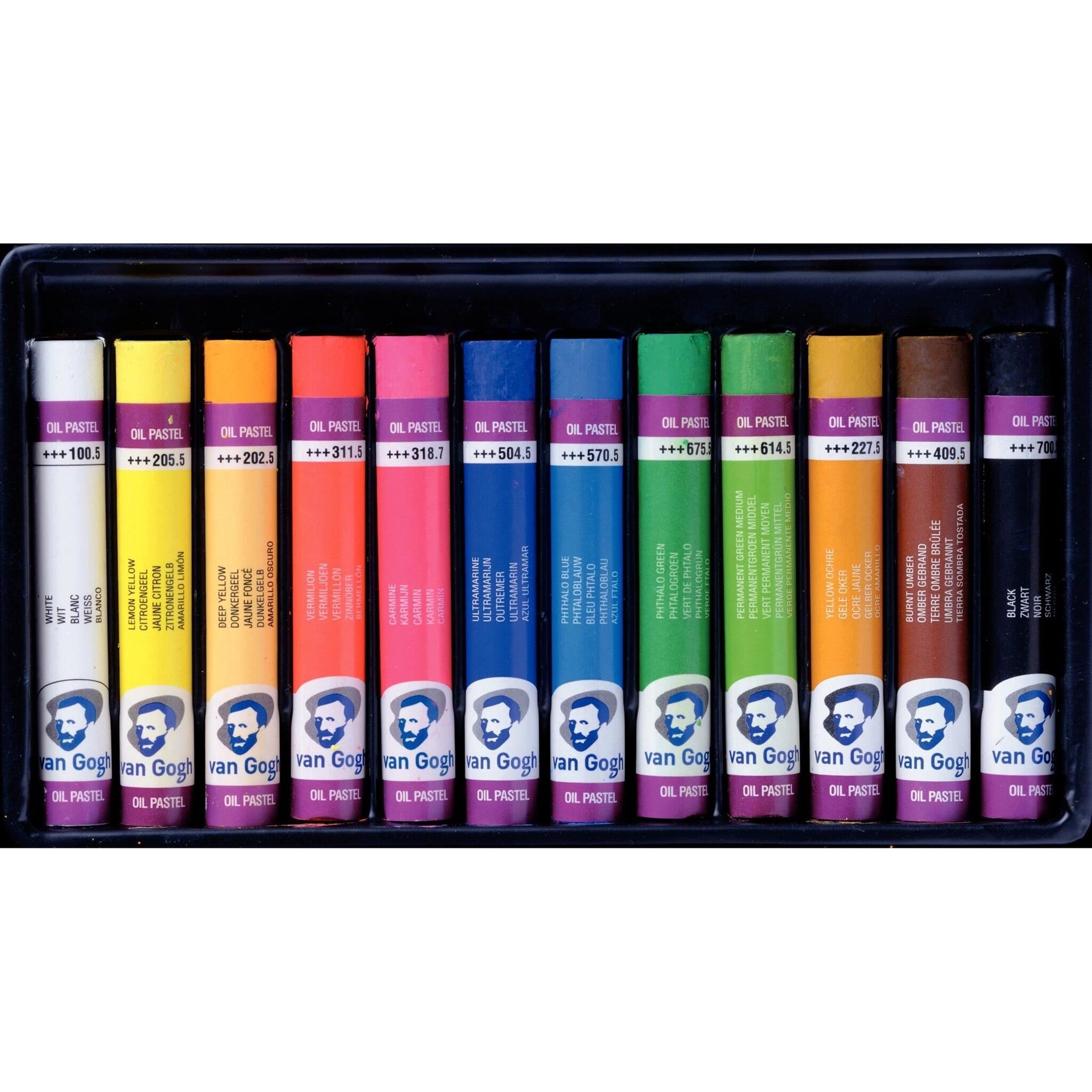Van Gogh oil pastel set of 12 sticks