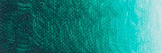Artist acrylverf 250ml Phthalo Green Deep A49