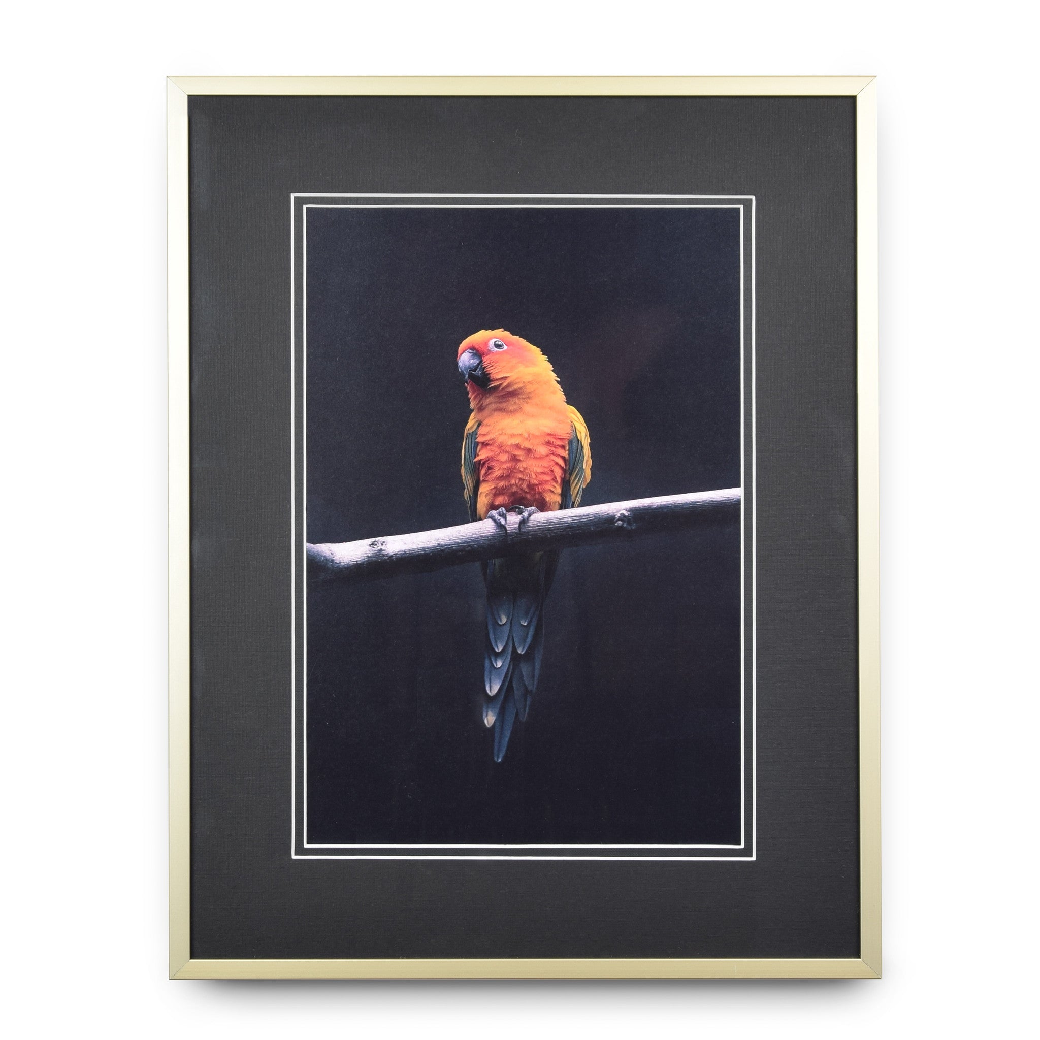 Aluminium interchangeable frame matt champagne