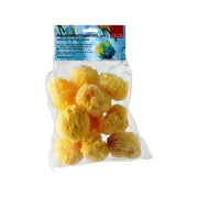 Aquarel grove sponzen set