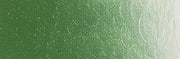 Artist acrylverf 250ml Chromium Oxide Green B50