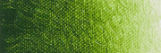 Artist acrylverf 250ml Sapgreen Lake Extra C292