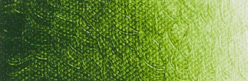 Artist acrylverf 250ml Sapgreen Lake Extra C292
