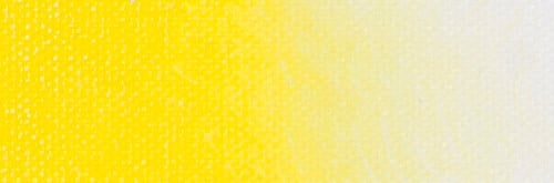 Artist acrylic paint 250ml Cadmium Yellow Light D11