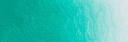 Artist acrylic paint 250ml Permanet Green Deep B271