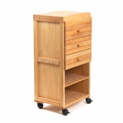 Kunstschilders cabinet NR73