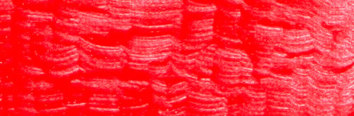Artist acrylic paint 250ml Neon Red C710