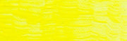 Artist acrylic paint 250ml Neon Yellow C700