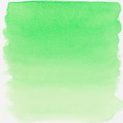 Ecoline Liquid Watercolor Bottle 30ml Green 600