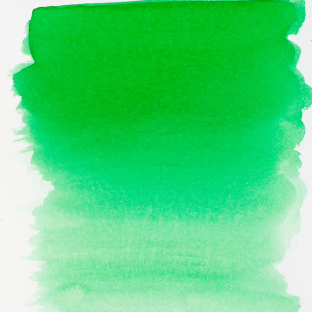 Ecoline Brush Pen Forest Green 656