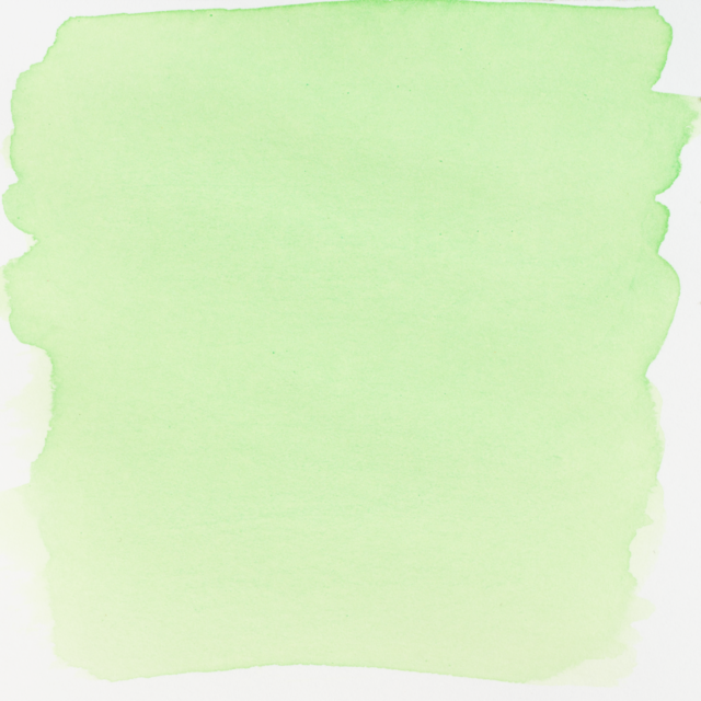 Ecoline Liquid Watercolor Bottle 30ml Pastel Green 666