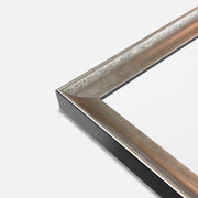Schilderijlijst Valencia zilver