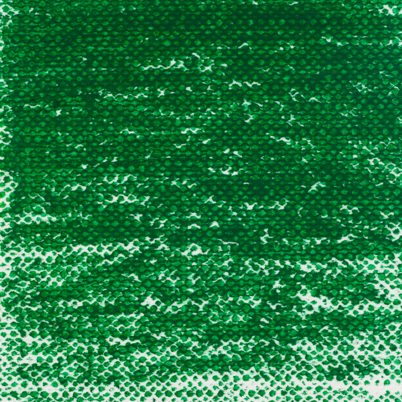 Van Gogh Oil Pastel Pine Green 654.5