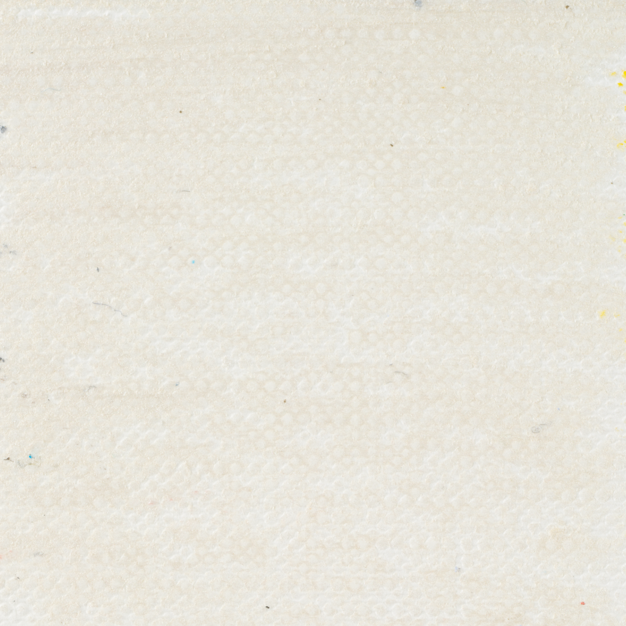 Van Gogh Oil Pastel Pearl White 830.5