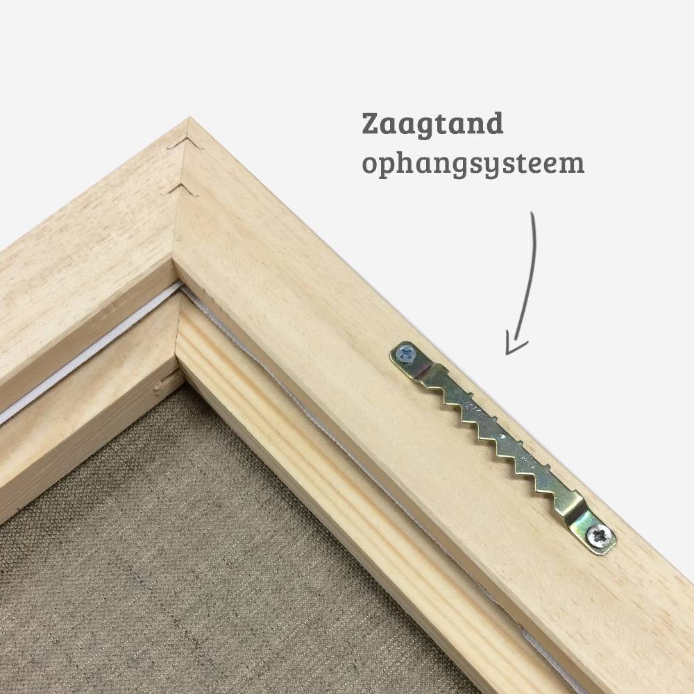 Canvas box frame white top silver